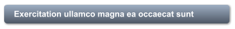 Exercitation ullamco magna ea occaecat sunt