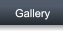 Gallery Gallery