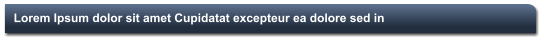 Lorem Ipsum dolor sit amet Cupidatat excepteur ea dolore sed in
