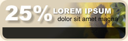 25% LOREM IPSUM dolor sit amet magna
