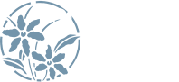 PORTOFOLIO
