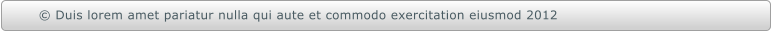  Duis lorem amet pariatur nulla qui aute et commodo exercitation eiusmod 2012