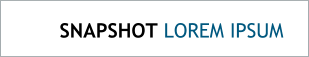 SNAPSHOT LOREM IPSUM