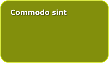 Commodo sint
