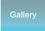 Gallery Gallery